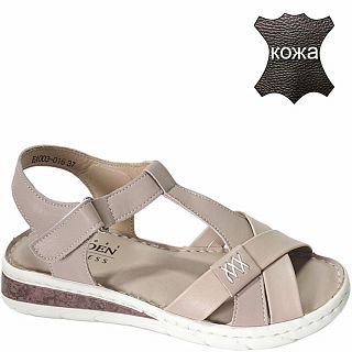 EA003-016 ��� ��������� ������� (36-41)/10