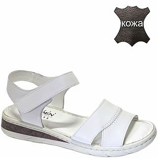 EA003-031    (36-41)/10
