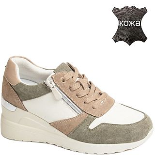 K241-R-BR-04-D ����/���. ����� �������� ��� (36-40)/10